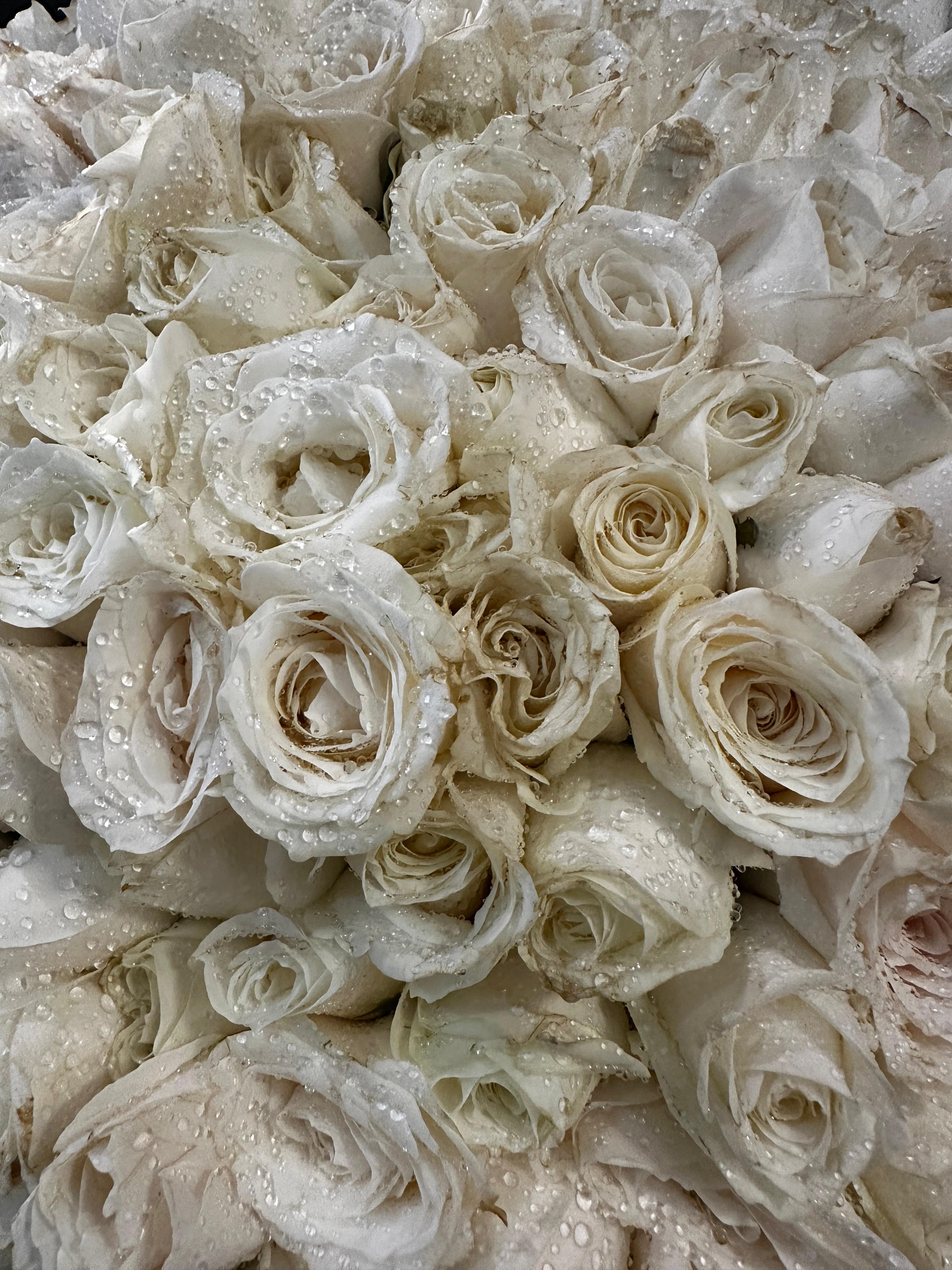 500 White Roses Bouquet