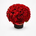 500 Red Roses Arrangement