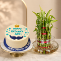 Father's Day Cake & Lucky Bamboo