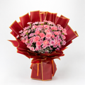 Carnation Bliss
