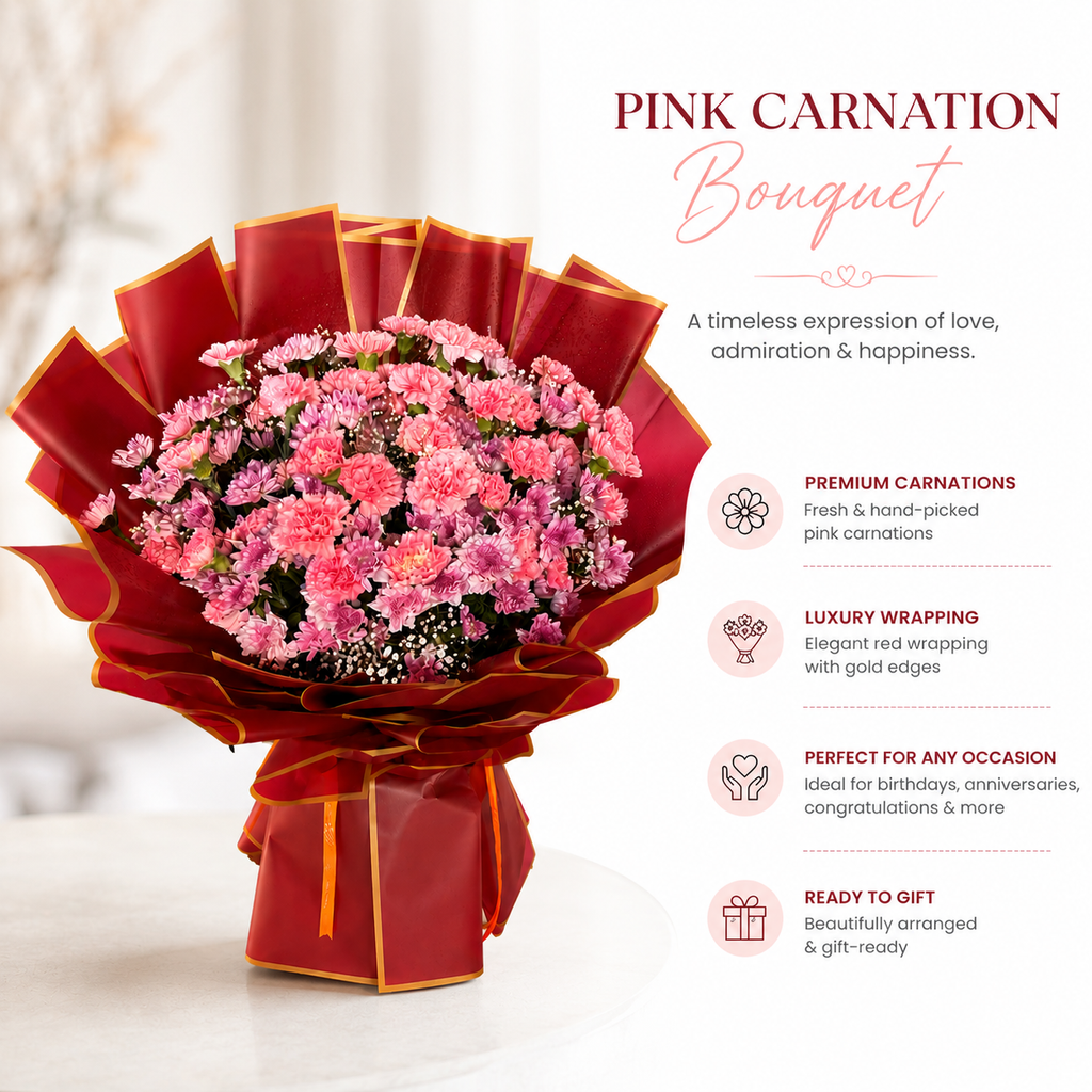 Carnation Bliss